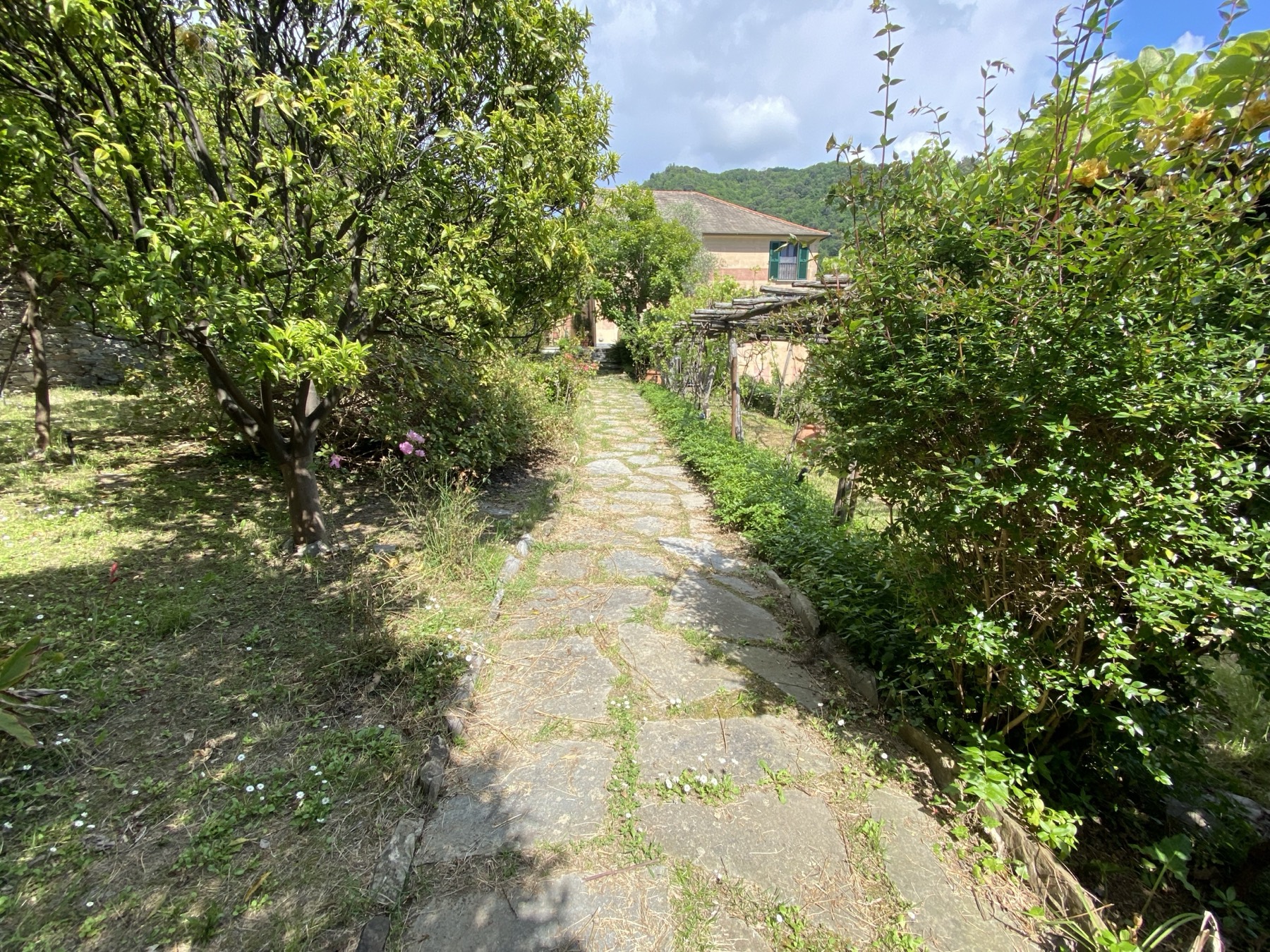 Stone path through the estate