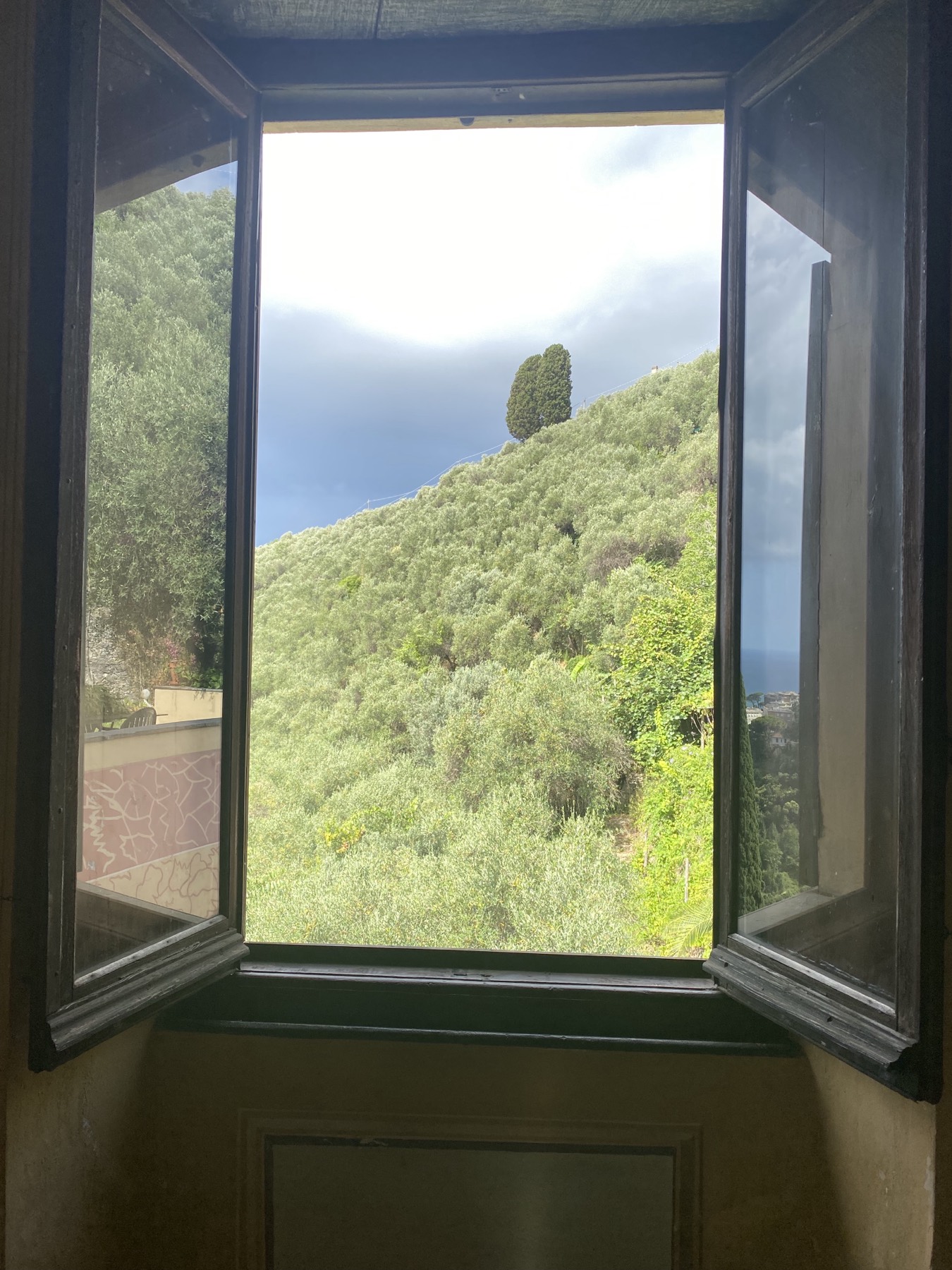 View from the estate